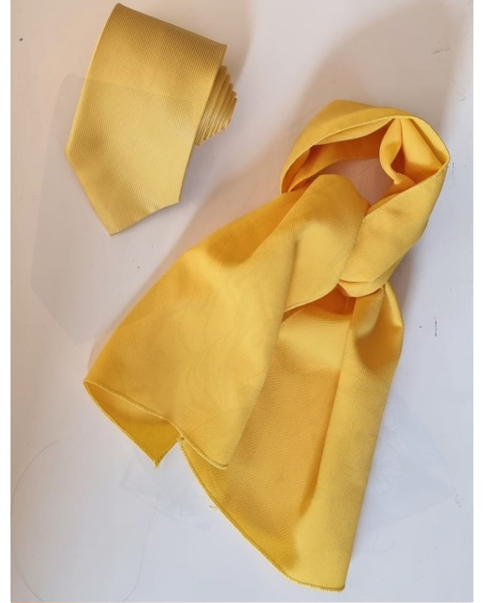 Pañuelo Y Corbata Color Amarillo